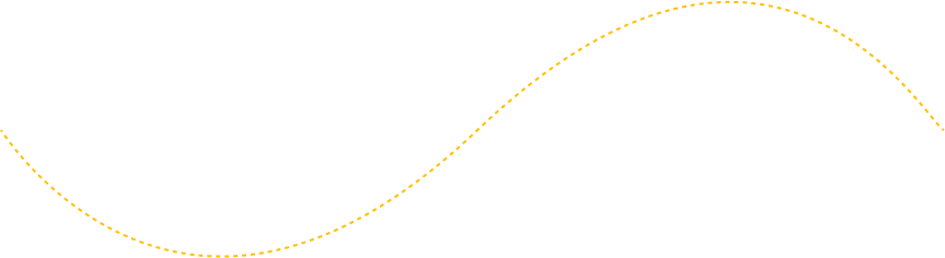 Decorative line connecting Slaterville Springs NY Taxi Service booking steps